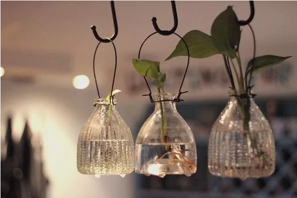 1560829733382281.png q2.png